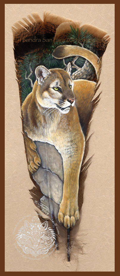 Canyon Spirit Mountain Lion Puma Cougar Feather Print